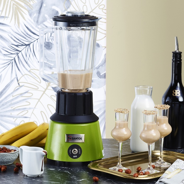 Santos 33A Bar Blender